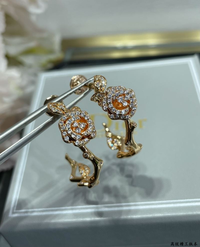 Christian Dior Earrings